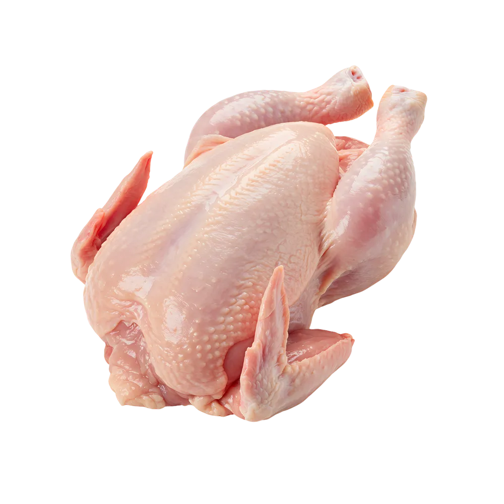 Premium halal whole chicken in 800g, 900g, 1000g, 1200g for B2B wholesale and international export. HALAL-certified, blast frozen, white skin only, strict quality control. 24-month shelf life. Reliable UK-based supplier.