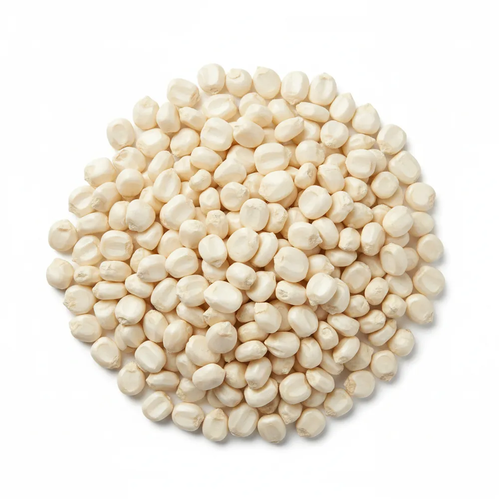 France AJ Group Ltd (UK) supplies premium GMO White Corn for industrial food processors and animal feed manufacturers. High-protein, low-moisture specs. Sourced from Brazil, India, and Argentina. Global bulk supply with TT, LC, DLC & SBLC payment terms.