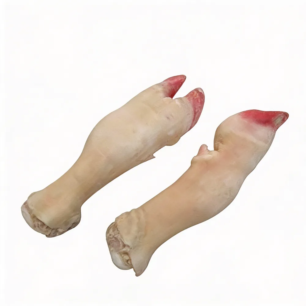 Premium Halal Beef Feet for paya, stews, and bone broth. 1–2.5kg per pair, certified HALAL, vacuum-sealed, no preservatives. Origins: Brazil, Netherlands, South Africa, Argentina. Storage: 0–4°C fresh, -18°C frozen. HACCP, veterinary approved. Wholesale. TT, LC, SBLC.