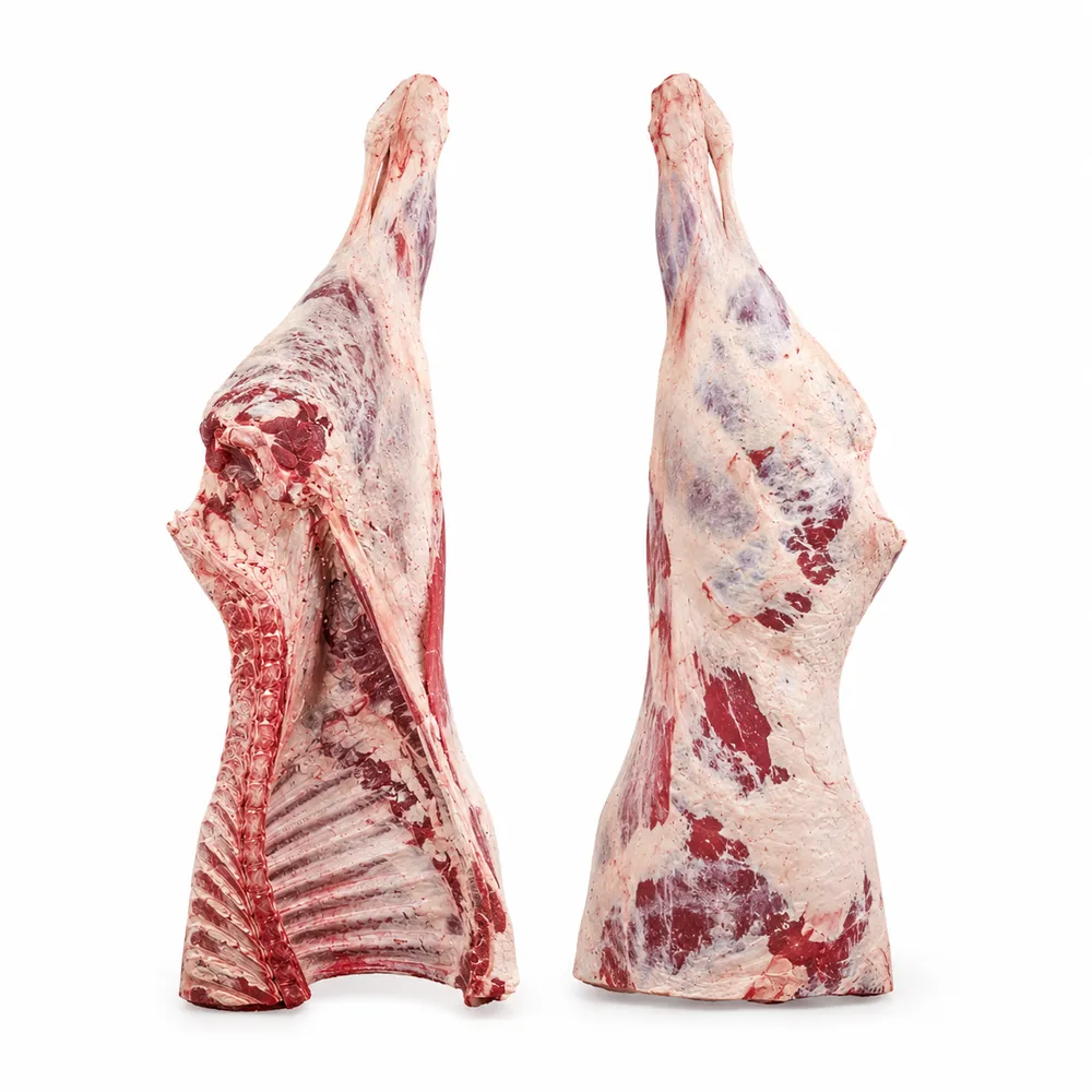 Quarto posteriore bovino halal all'ingrosso — quarto posteriore bovino halal intero surgelato confezionato sottovuoto con coscia, geretto e lombata per l'esportazione in container frigorifero