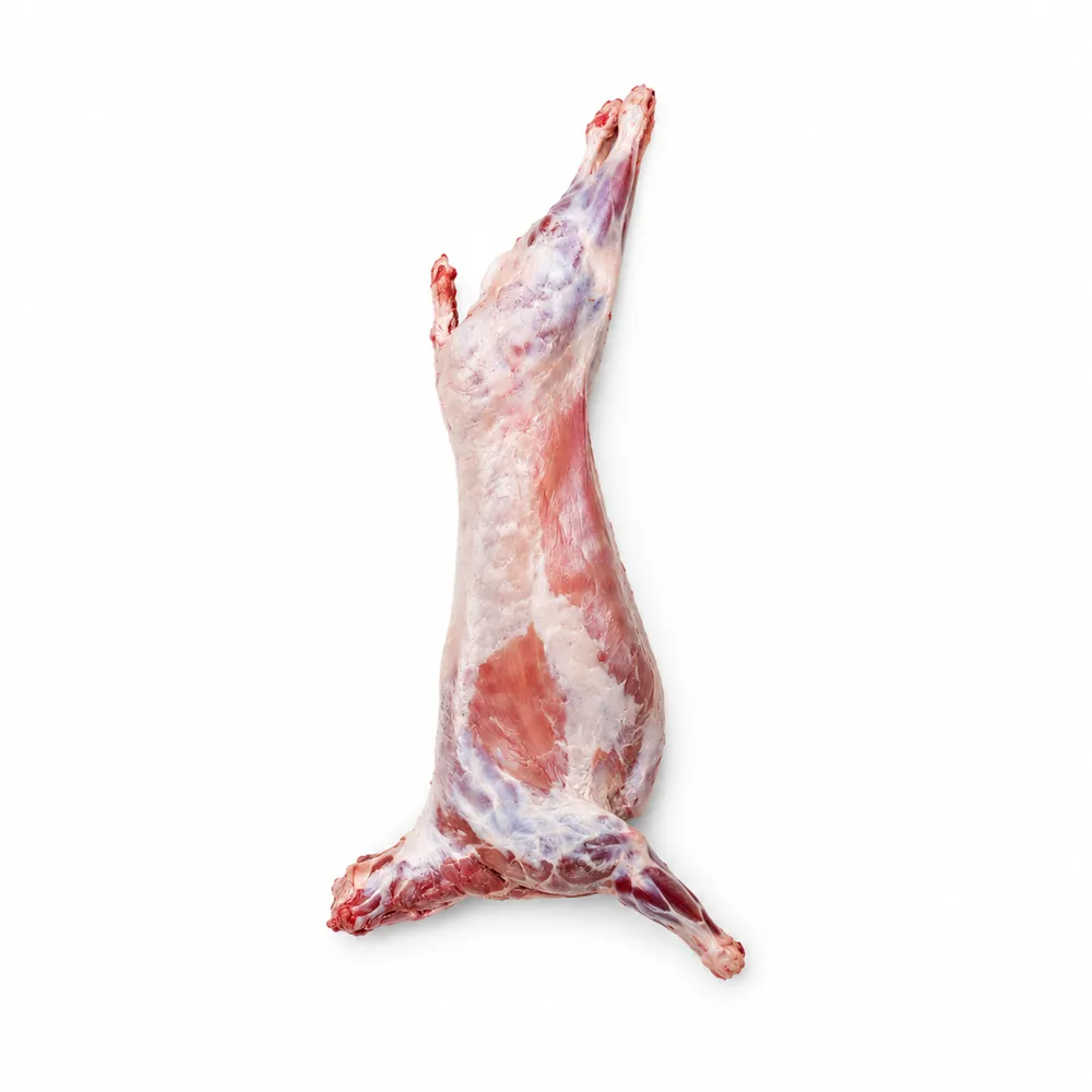 Halal Whole Lamb Carcass 15-25kg | Premium Wholesale Export | B2B Supplier