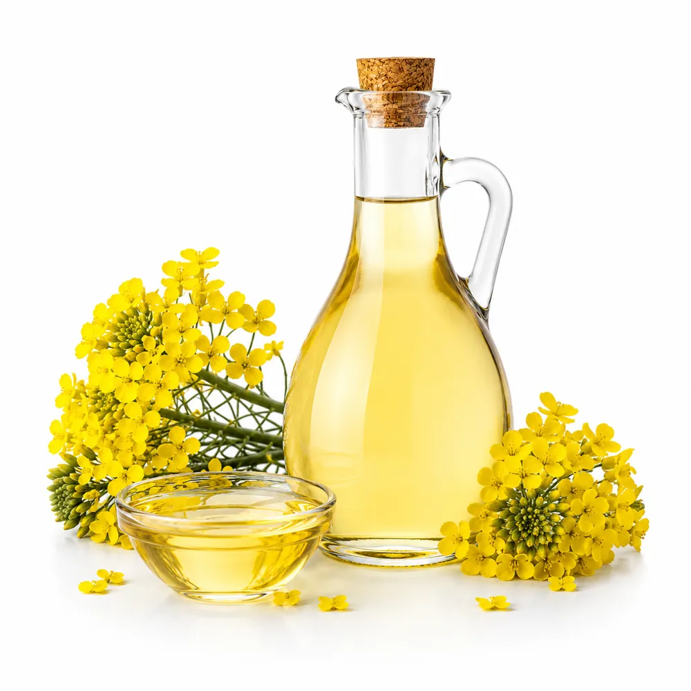 Olio di colza (canola) raffinato 1L all'ingrosso — olio di canola RBD di qualità alimentare in bottiglie PET da 1L per l'esportazione