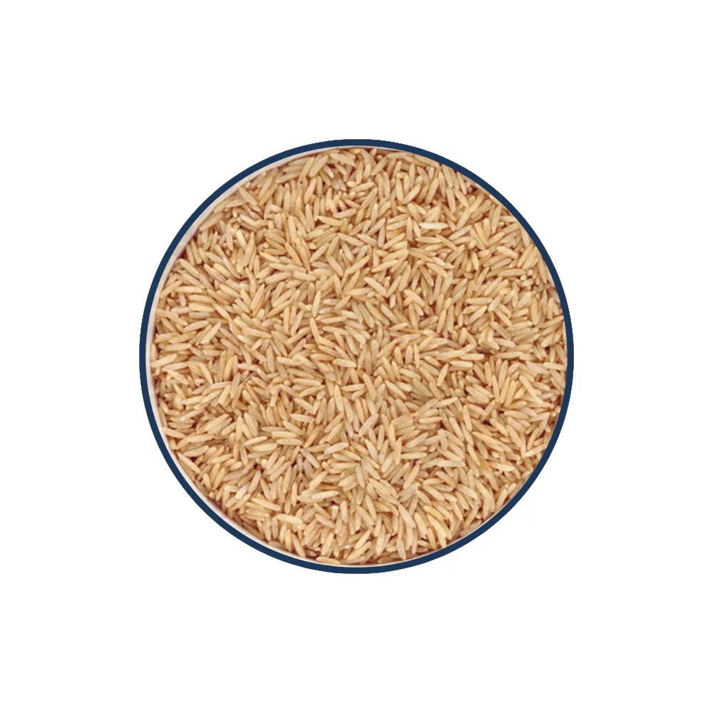 Brown Rice