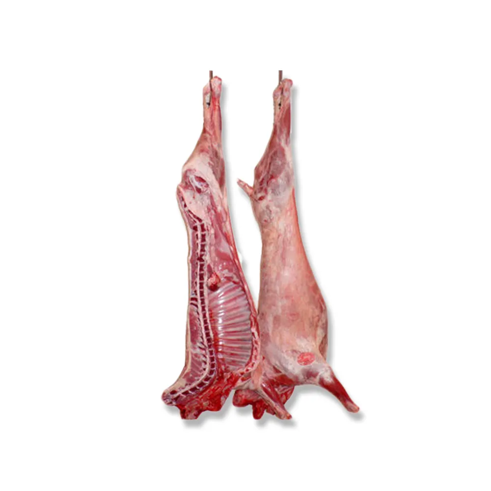Premium halal whole lamb carcass 15-25kg for wholesale and international export. HALAL-certified, thoroughly cleaned, no preservatives, vacuum-sealed. Fresh (0-4°C) or frozen (-18°C). Reliable UK-based supplier with refrigerated delivery.