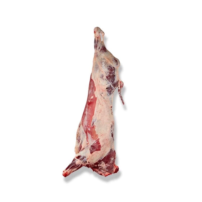 Premium Halal Beef Carcass – whole carcass with all primal cuts. 180–300kg, certified HALAL, vacuum-sealed, no preservatives. Origins: Brazil, Netherlands, South Africa, Argentina. Storage: 0–4°C fresh, -18°C frozen. HACCP, veterinary approved. Wholesale. TT, LC, SBLC.