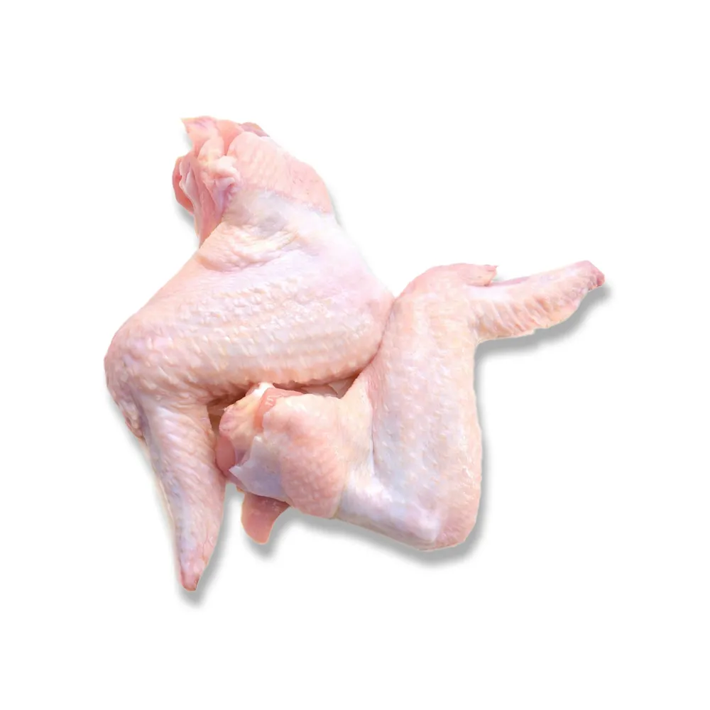 Halal chicken joint wings for bulk wholesale and global export. Clean, uniform, China compliant. Request a quote today.