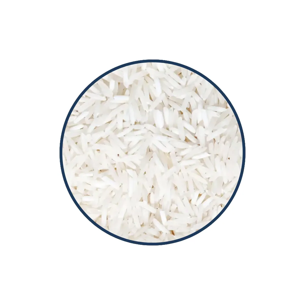 أرز الياسمين