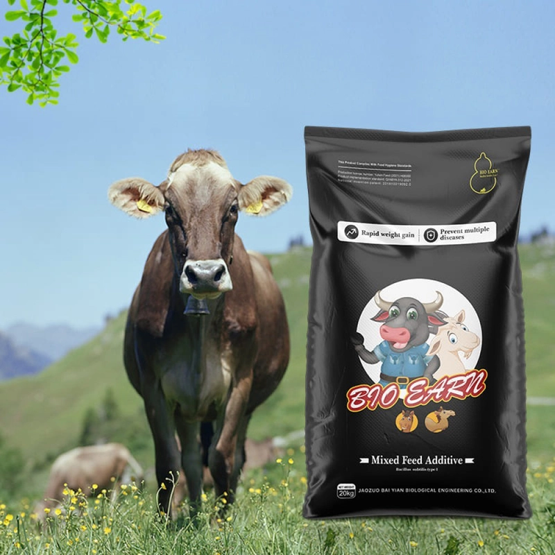 Wholesale ruminant feed — China origin, 14–18% protein, high fibre 18–22%, probiotics, vitamins A D3 E. 2,800–3,000 kcal/kg. Pellet 4–8mm, 25/50kg bags. B2B export. TT, LC, SBLC. France AJ Group Ltd.