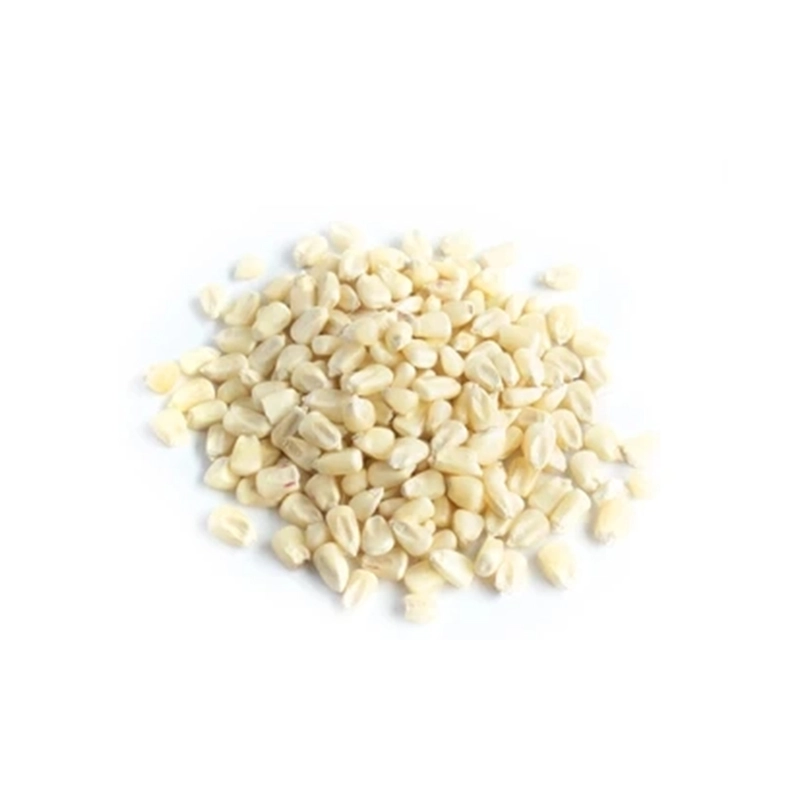 Buy premium white corn animal feed with 8% minimum protein and 12% maximum moisture. Our animal feed is GMO-inclusive and meets strict quality standards, ensuring balanced nutrition with low foreign matter and broken kernels. Perfect for livestock feed.