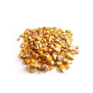 Yellow Corn Animal Feed is a nutritious option for livestock, promoting healthy growth with essential nutrients.
