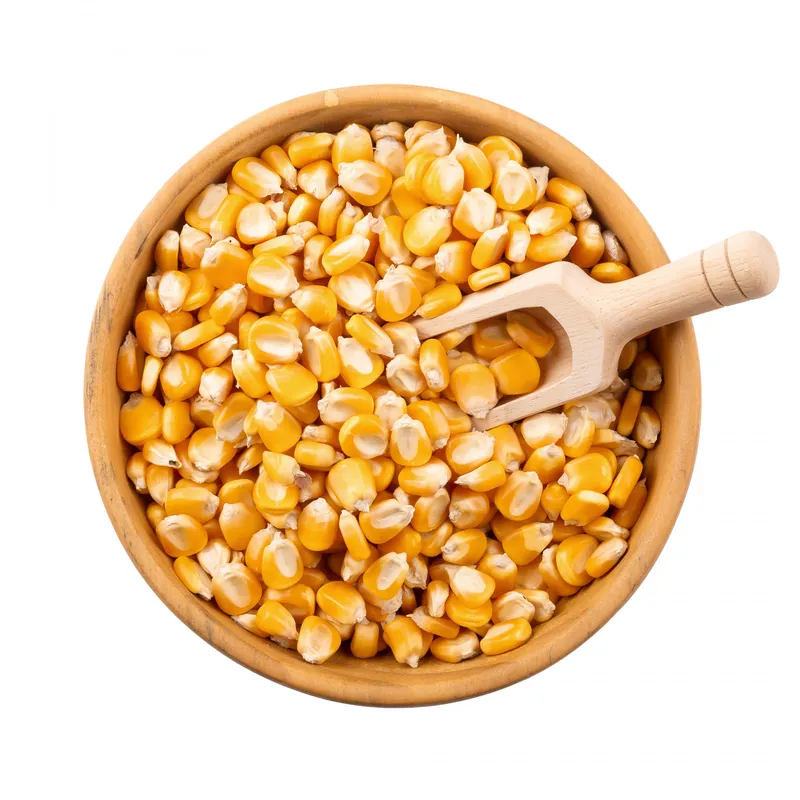 Source high-performance GMO Yellow Corn for industrial food and feed. 14% max moisture, 7.9% min protein. Reliable B2B global wholesale export from Brazil, India, and Argentina.
