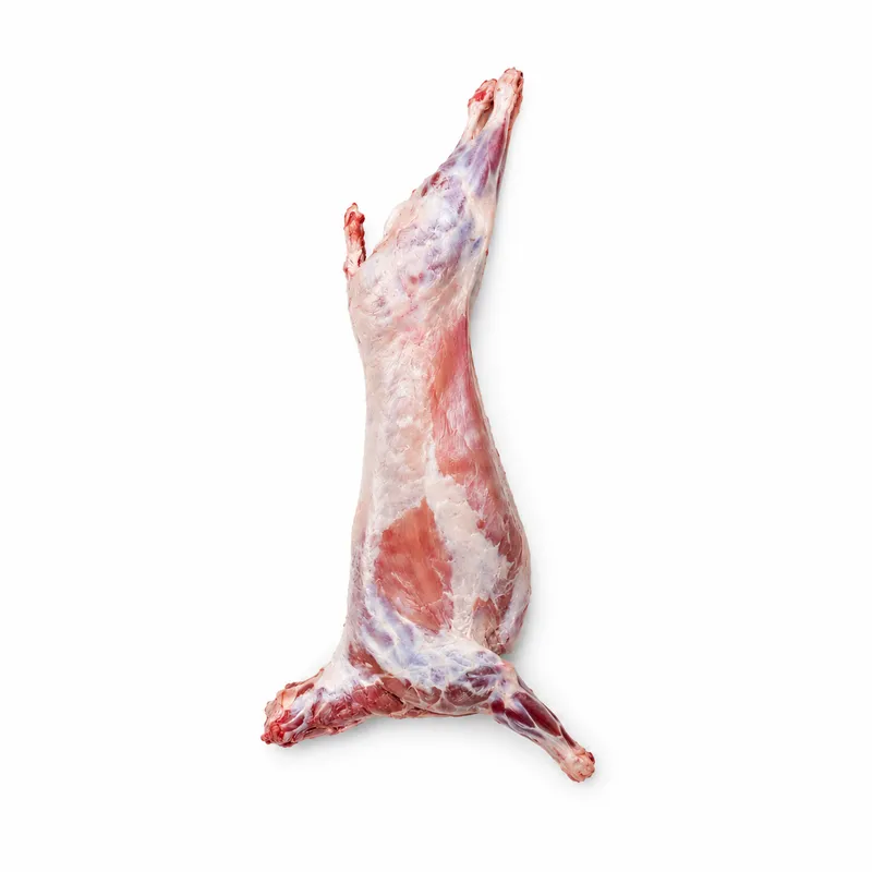 Halal Whole Lamb Carcass 15-25kg | Premium Wholesale Export | B2B Supplier